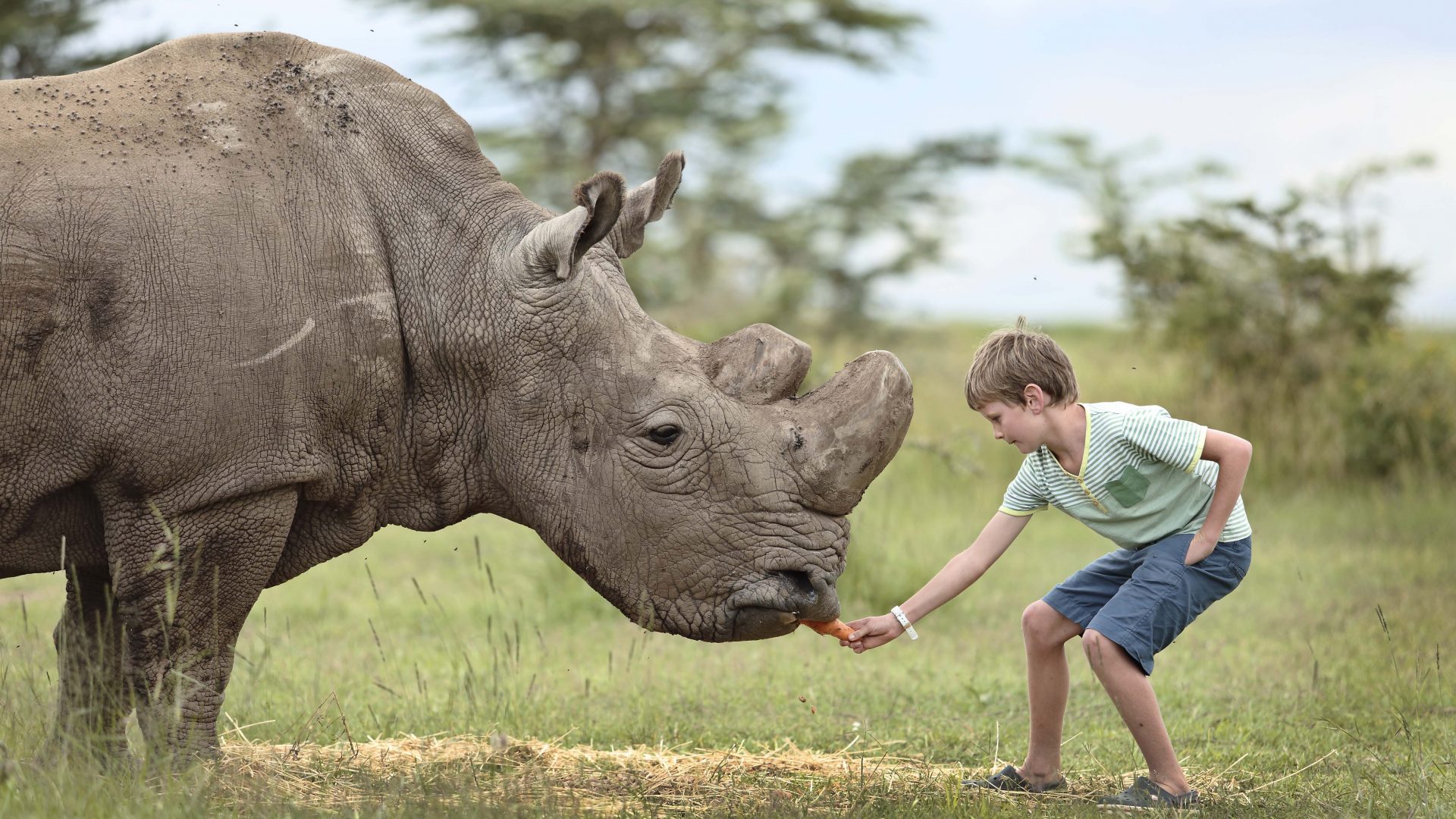 Kenya safari with kids, family