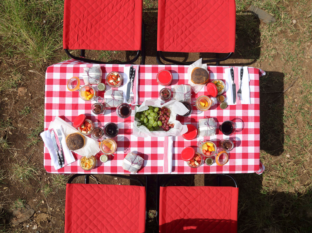 Picnic safari food dining set up in Africa