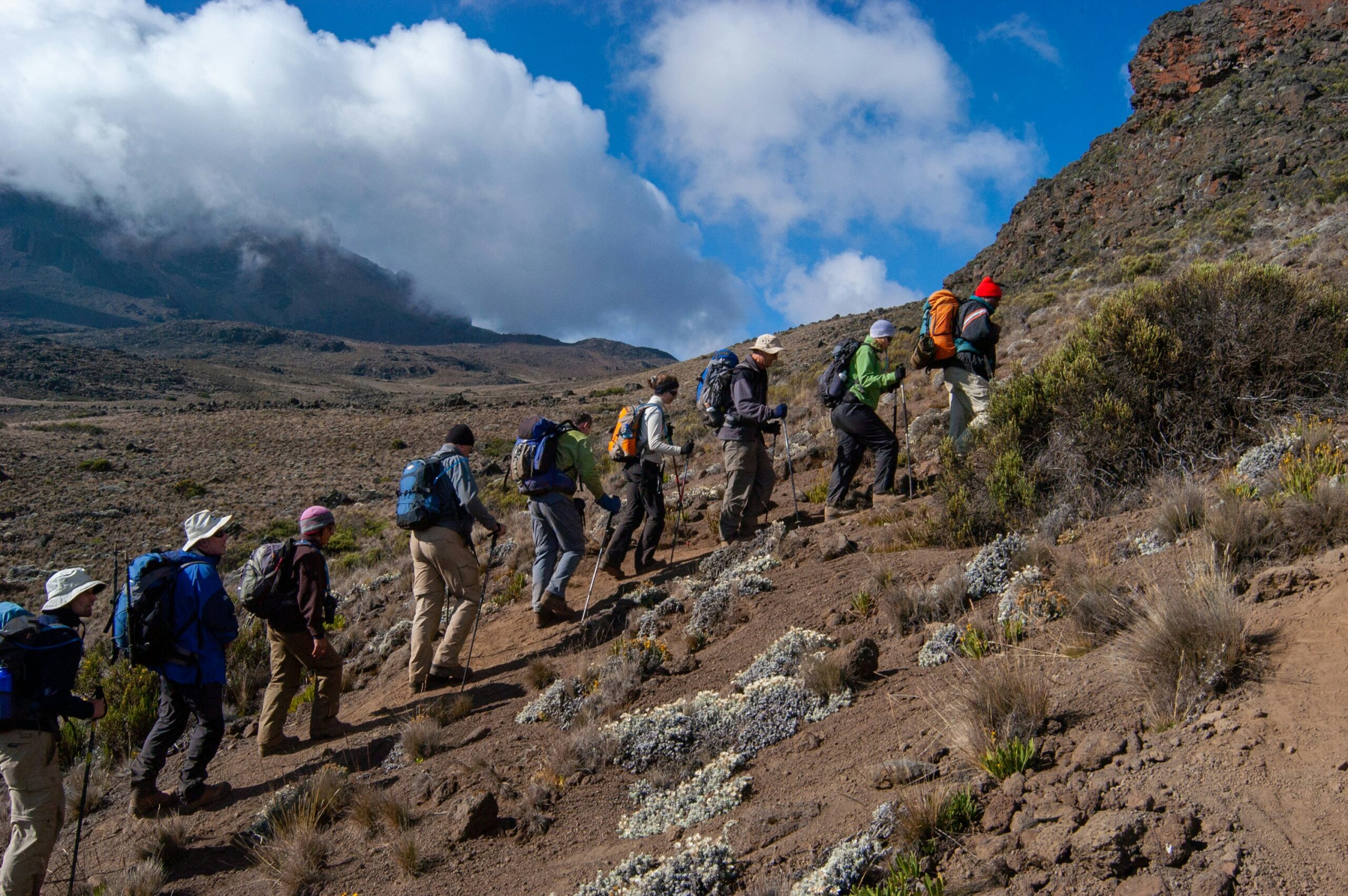 Hikers trekking uphill Mount Kilimanjaro