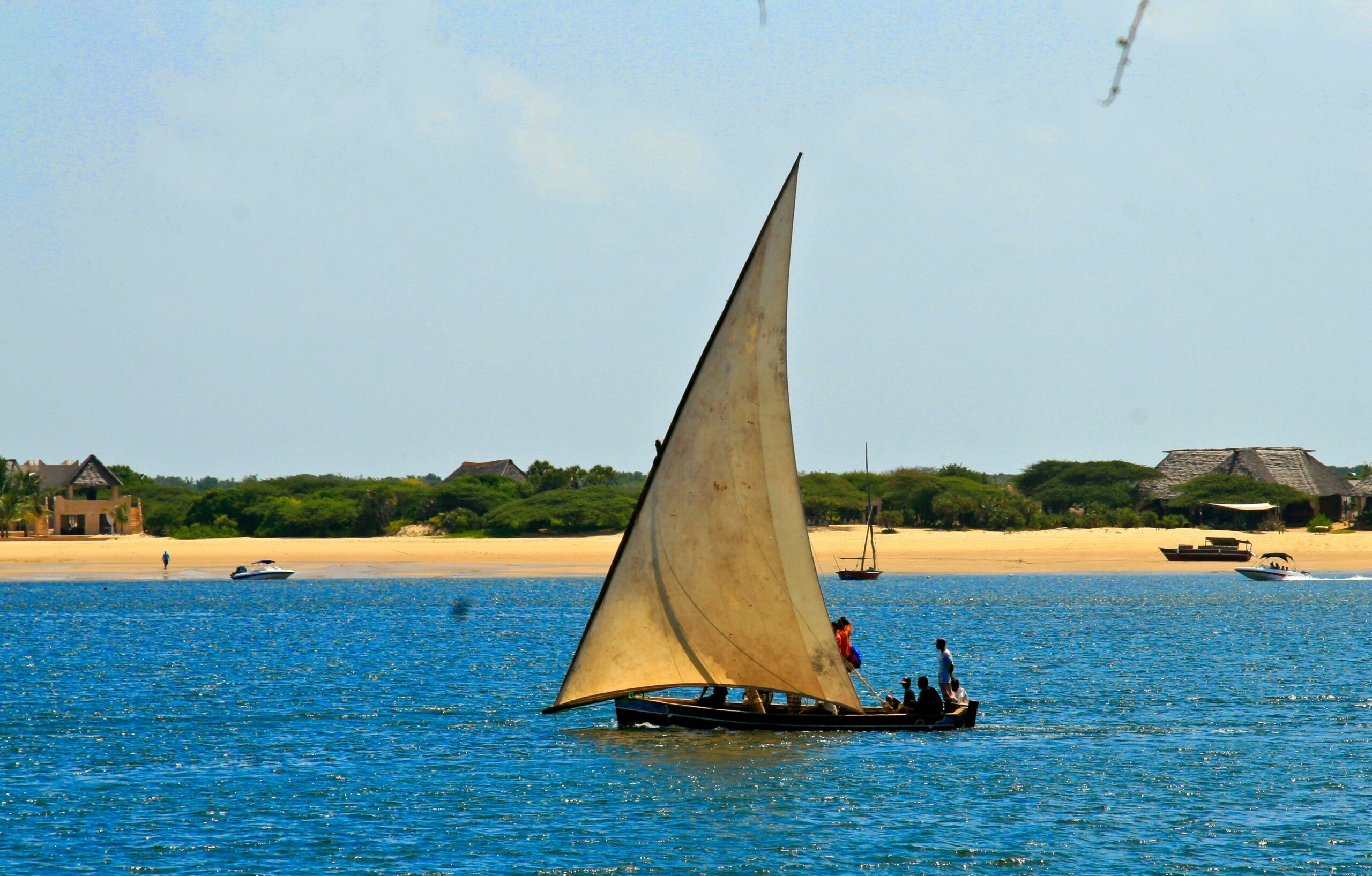 A dhow sail in Lamu