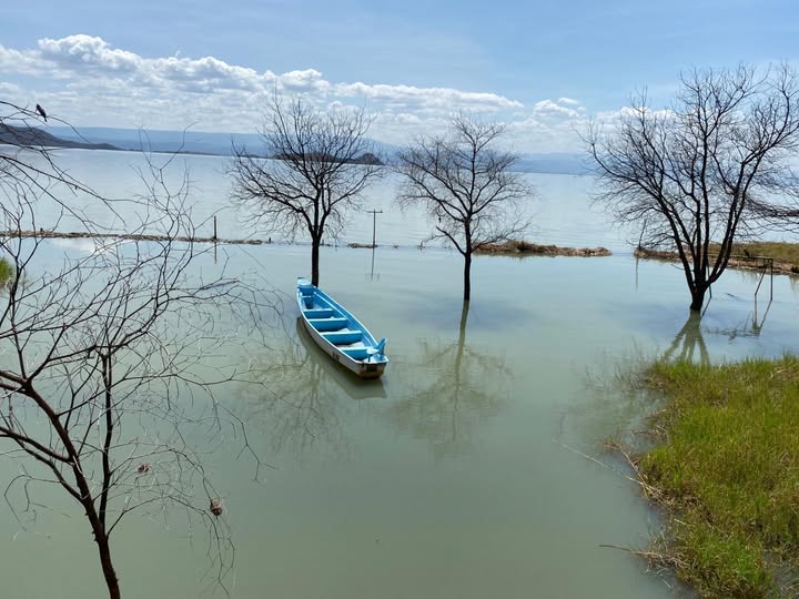 Boat ride in Lake Baringo