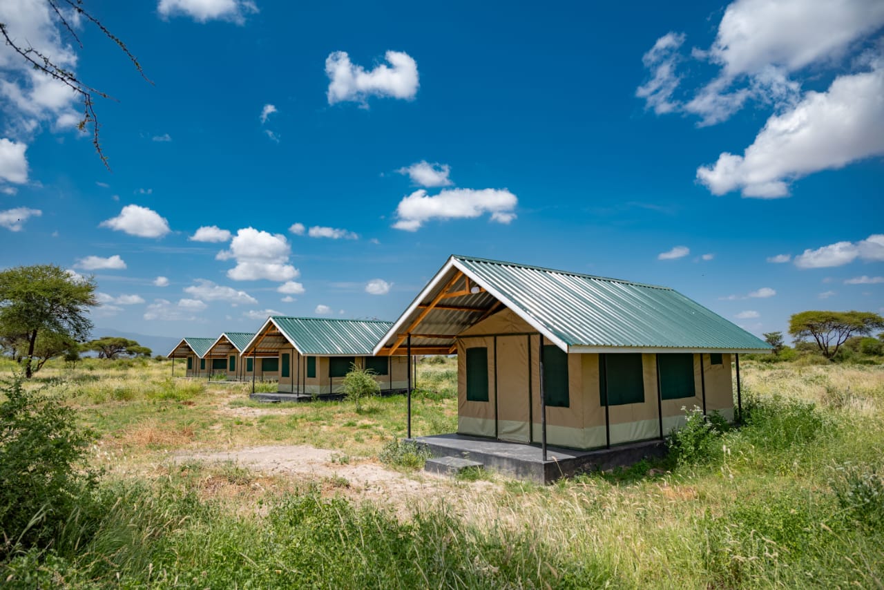 A budget tent used for accommodation on group joining safari