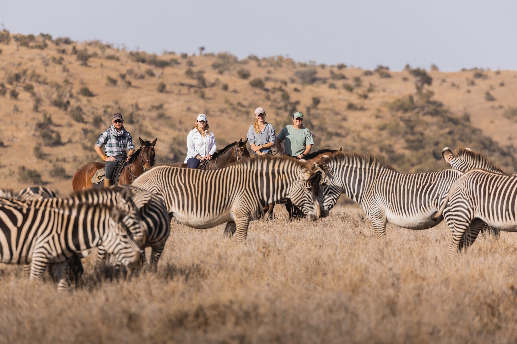 Horseback safari in Kenya with wild zebras in Masai Mara