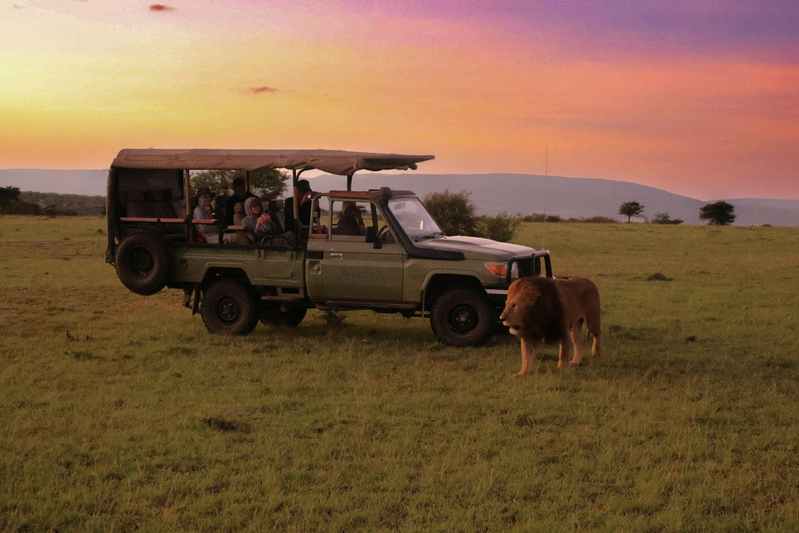Tourists enjoying Kenya safari - Book budget-friendly trips with Bison Safaris