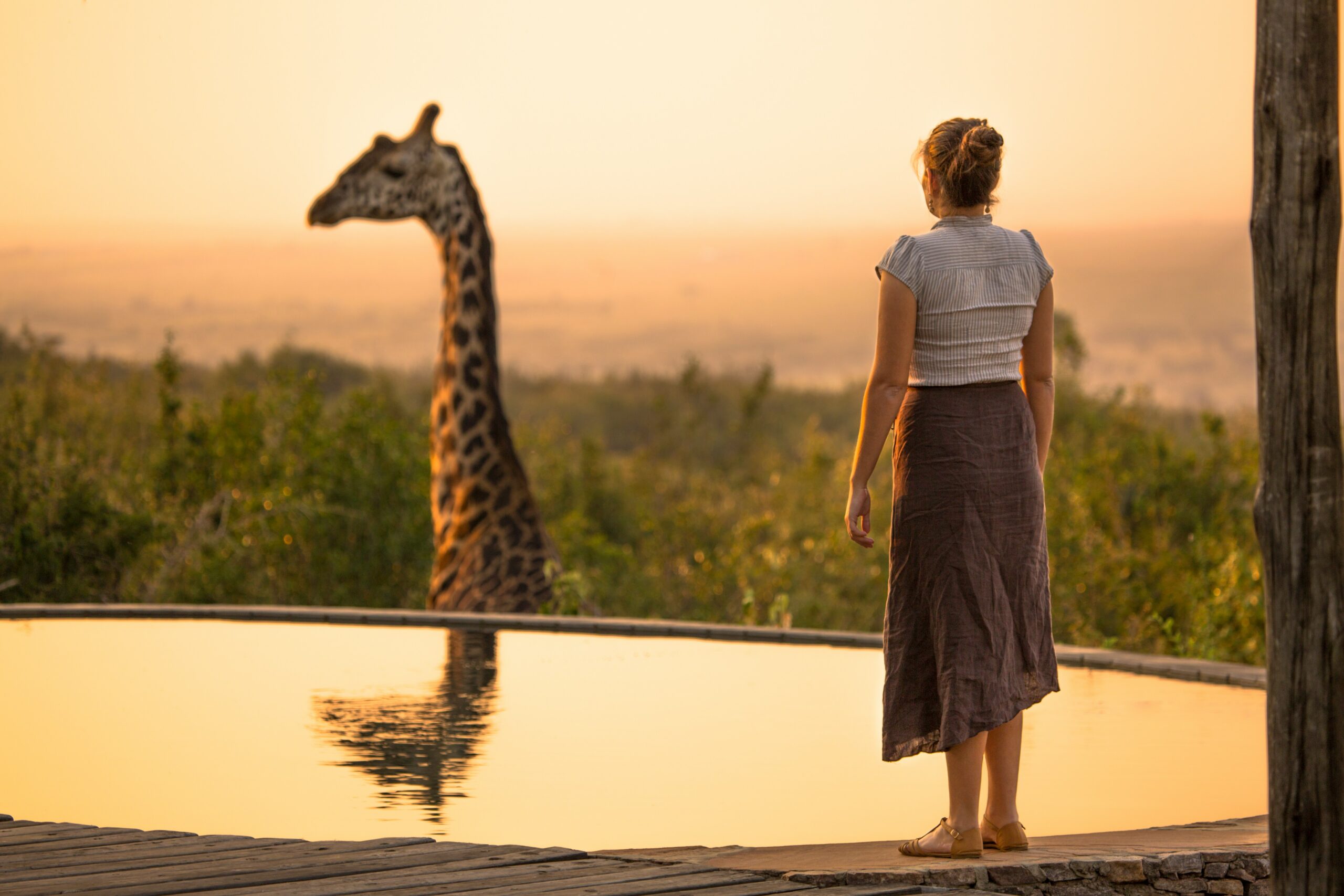 safari guide kenya tips