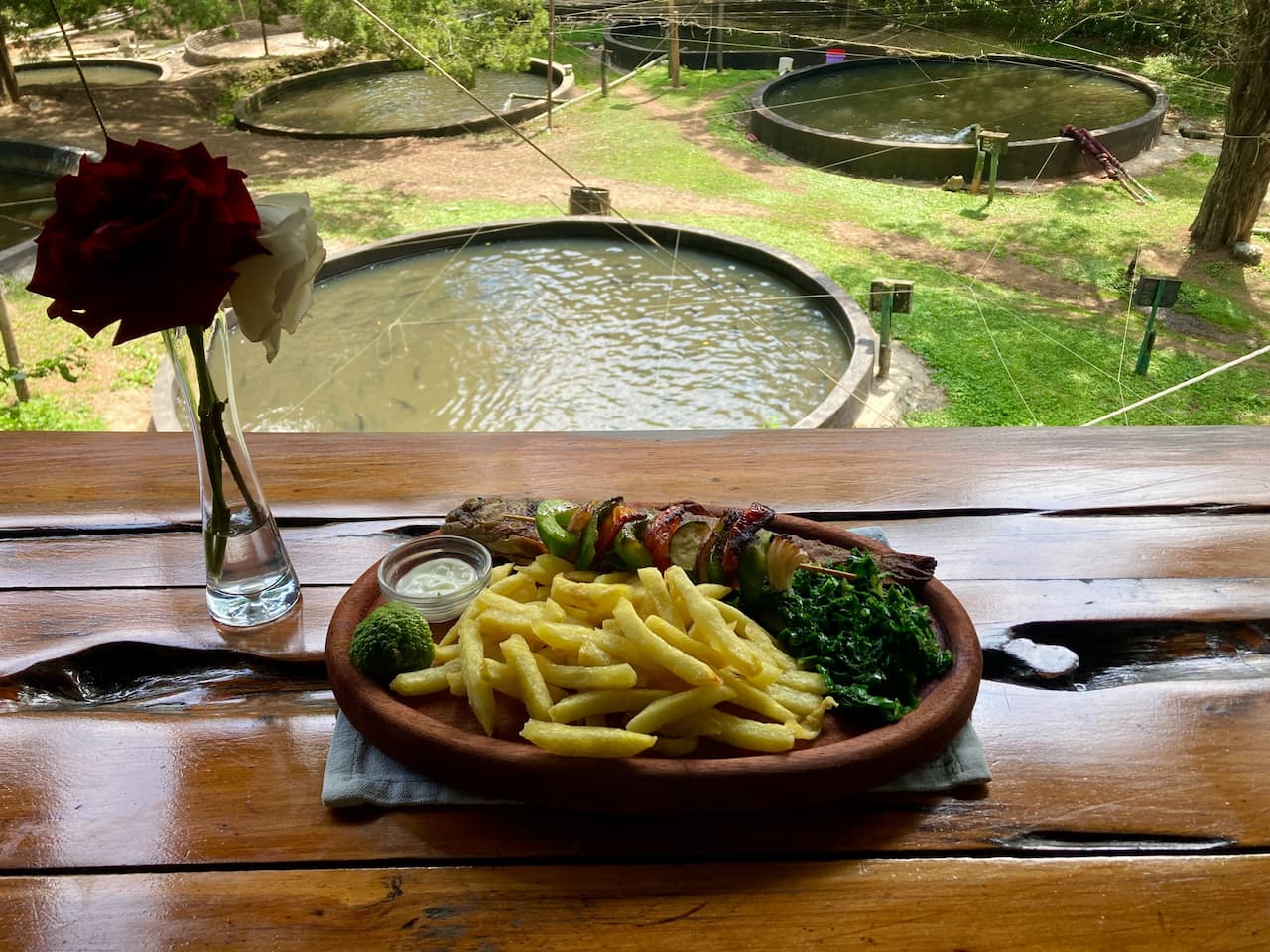 Fresh Trout served at the Trout Tree Restaurant