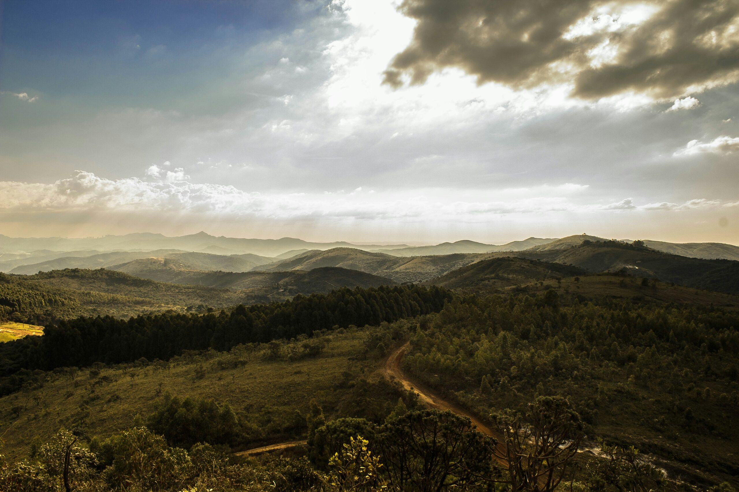 Rolling hills and riverine forests at Mwaluganje Sanctuary