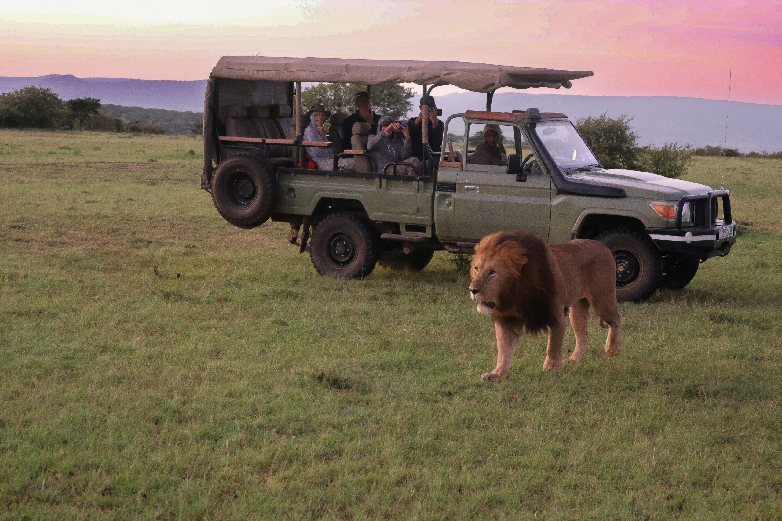 Tourists safely seated inside a safari vehicle observing Safari Safety.