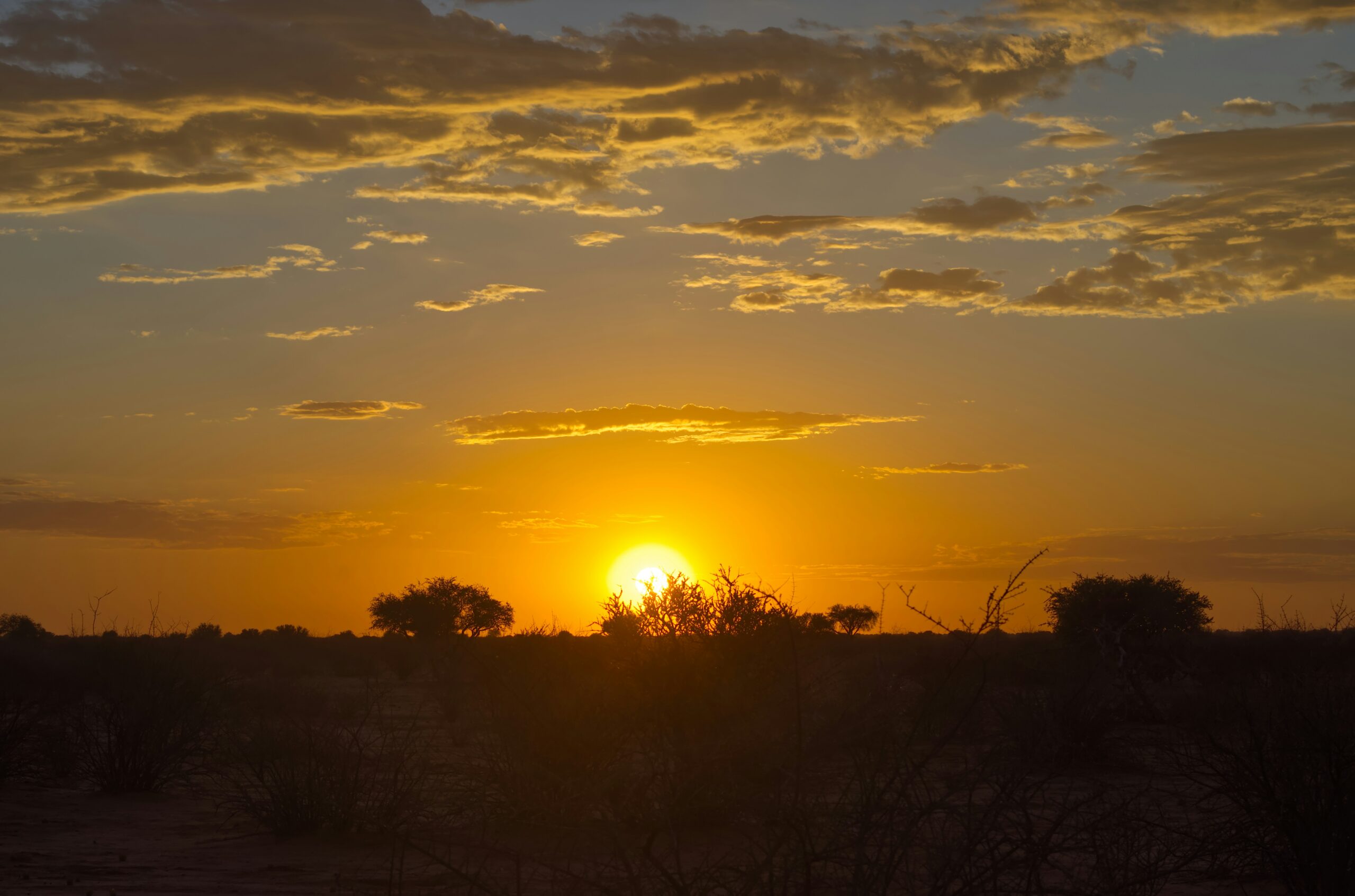 Stunning African sunrise over the Masai Mara savannah, viewed from a hot air balloon