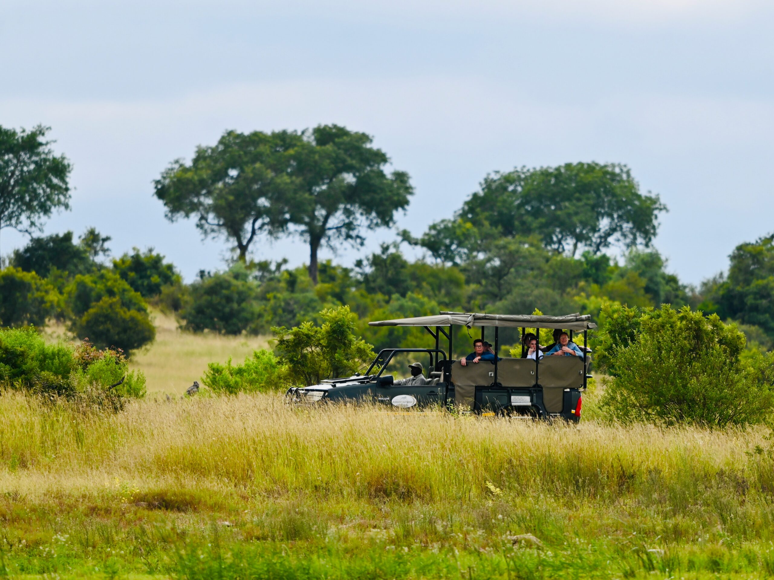 Kids spotting wildlife on a family-friendly safari game drive