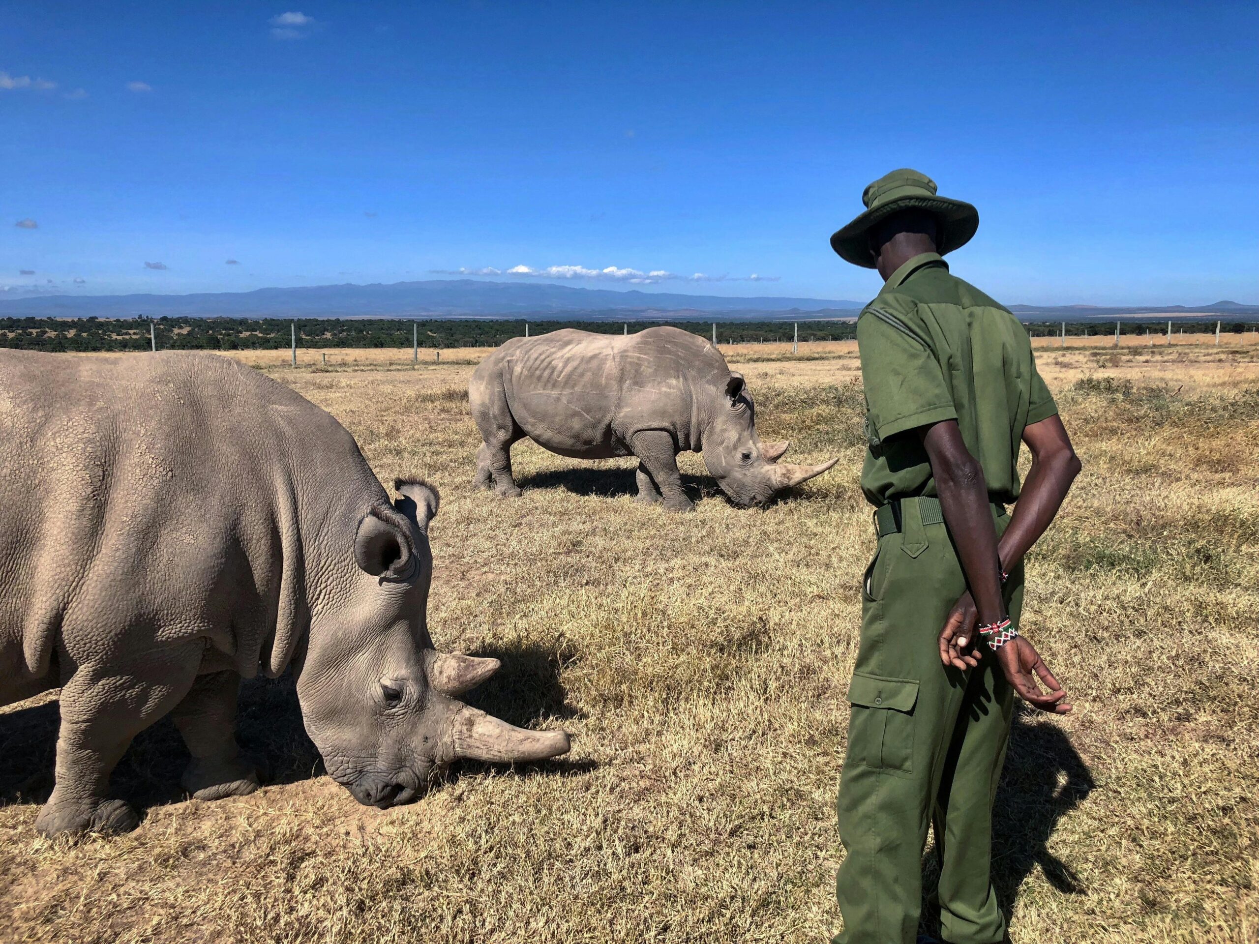 Kids learning wildlife conservation on an educational safari in Kenya