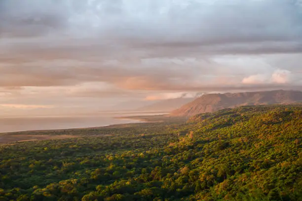 Lake Manyara National Park photo 2