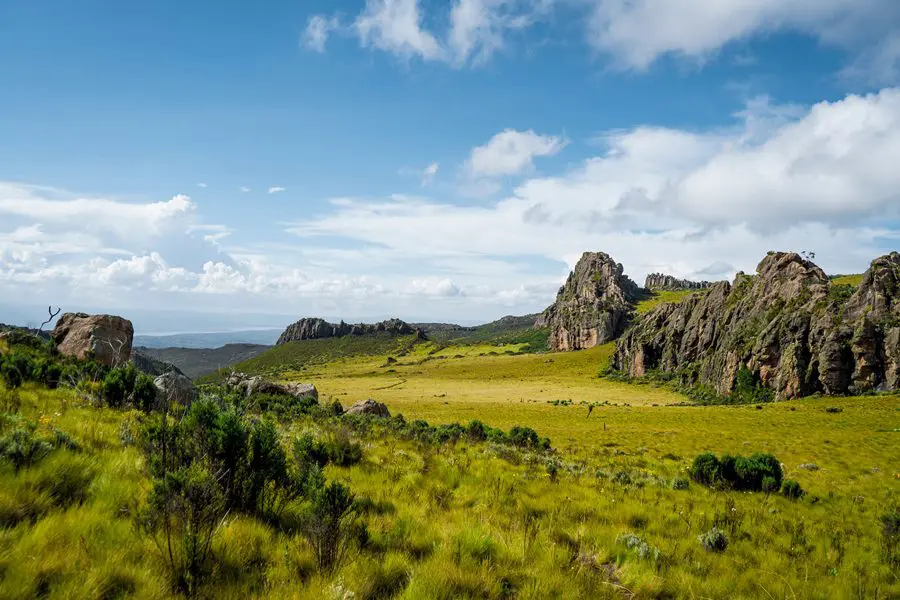 Aberdare National Park photo 3