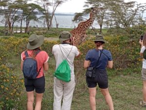 safari guide skills in the bush