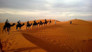 desert safari in kenya