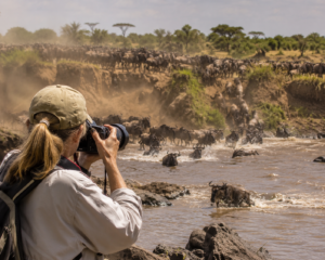 Kenya Wildlife Photography