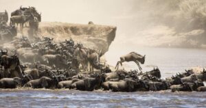 private conservancy vs national reserve