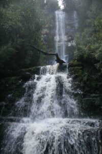 Adamson's Falls, one of the best waterfalls in Kenya