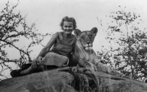 Elsa the Lioness is among the most famous lions in Africa