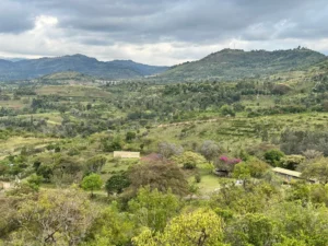 Fort Ternan: fossil sites in Kenya