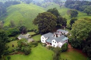 Kiambethu Tea Farm is among the best day trips from Nairobi