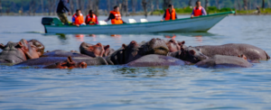 Lake Naivasha National Park, one of the best day trips from Nairobi