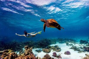Watamu National Marine Park is among the best weekend getaways in Kenya