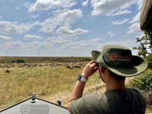 Wlidlife watching in the Mara, located in the great rift valley