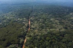 Kakamega Forest