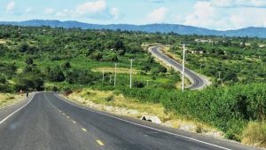 The Lamu-Kiunga road