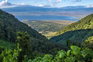 Ngorongoro conservation area is among the best UNESCO world heritage sites in Africa