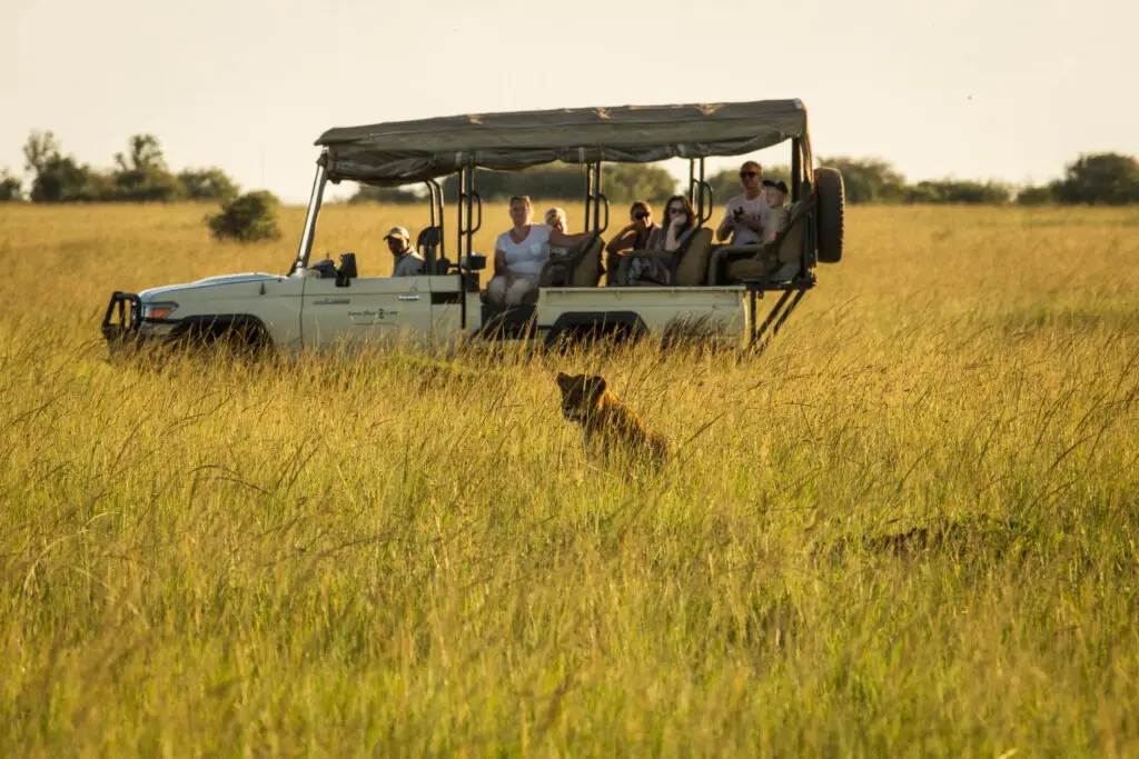 honeymoon safari kenya package