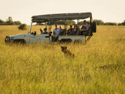 honeymoon safari kenya package