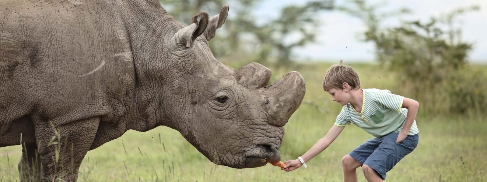 Kenya safaris with kids, family safari