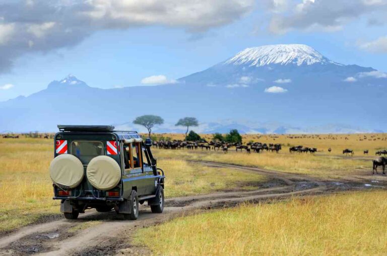 Amboseli Safari