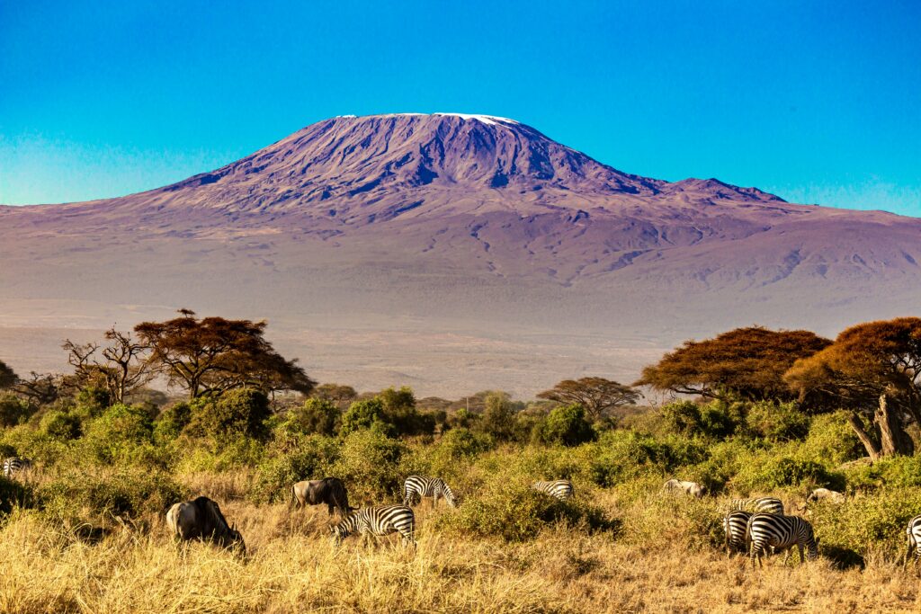 Samburu photo 2