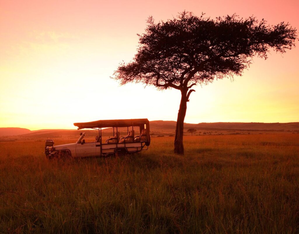Ol Pejeta Conservancy photo 4