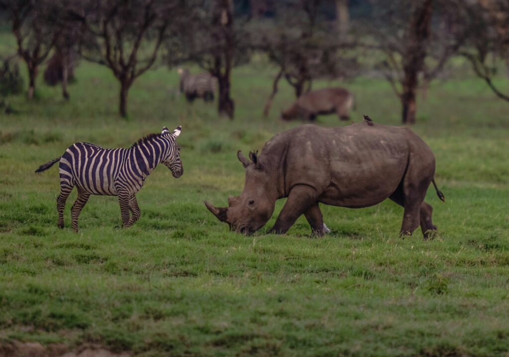 Coastal Kenya photo 5
