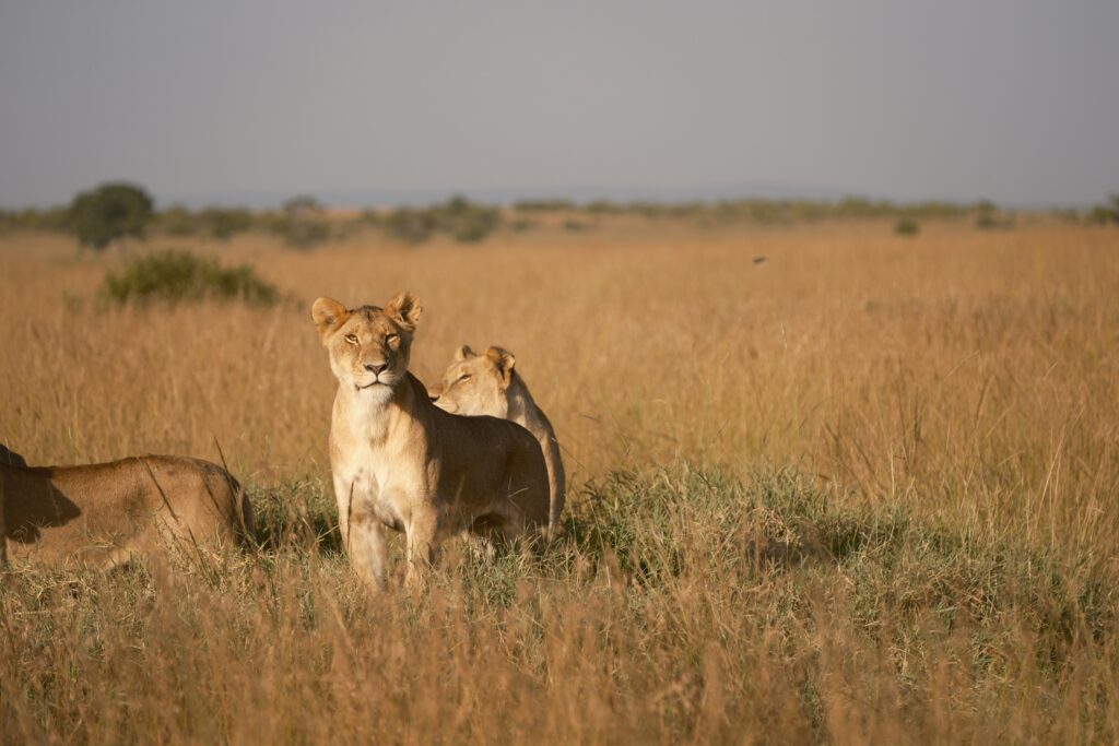 Coastal Kenya photo 3
