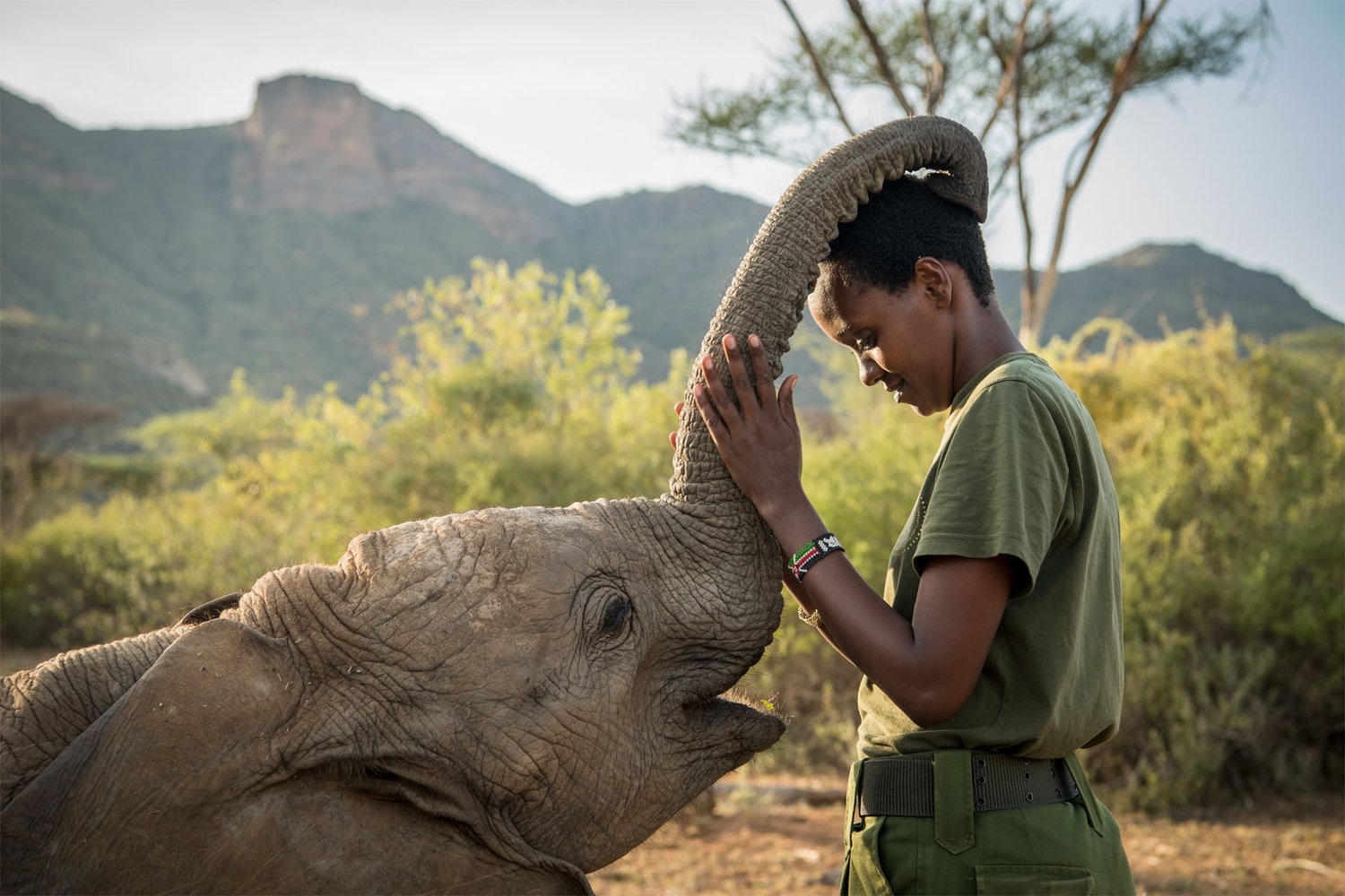 Eco – Tourism Escapes: Sustainable Tourism Destinations to visit in Kenya