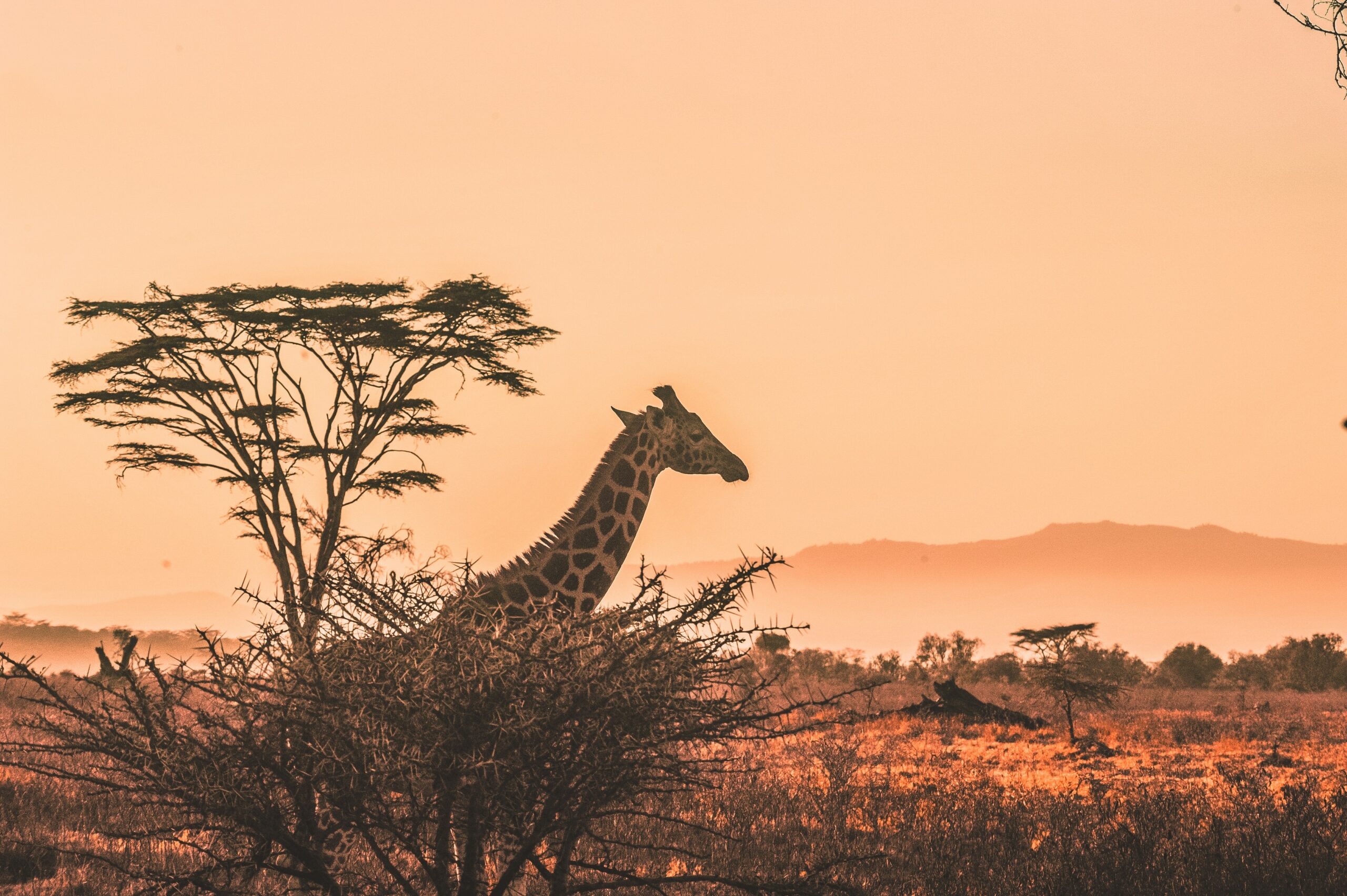 Off the beaten path: 9 Underrated Tour Destinations in Kenya