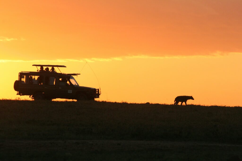 Explore Kenya on a budget: Affordable tour destinations with a rich experience