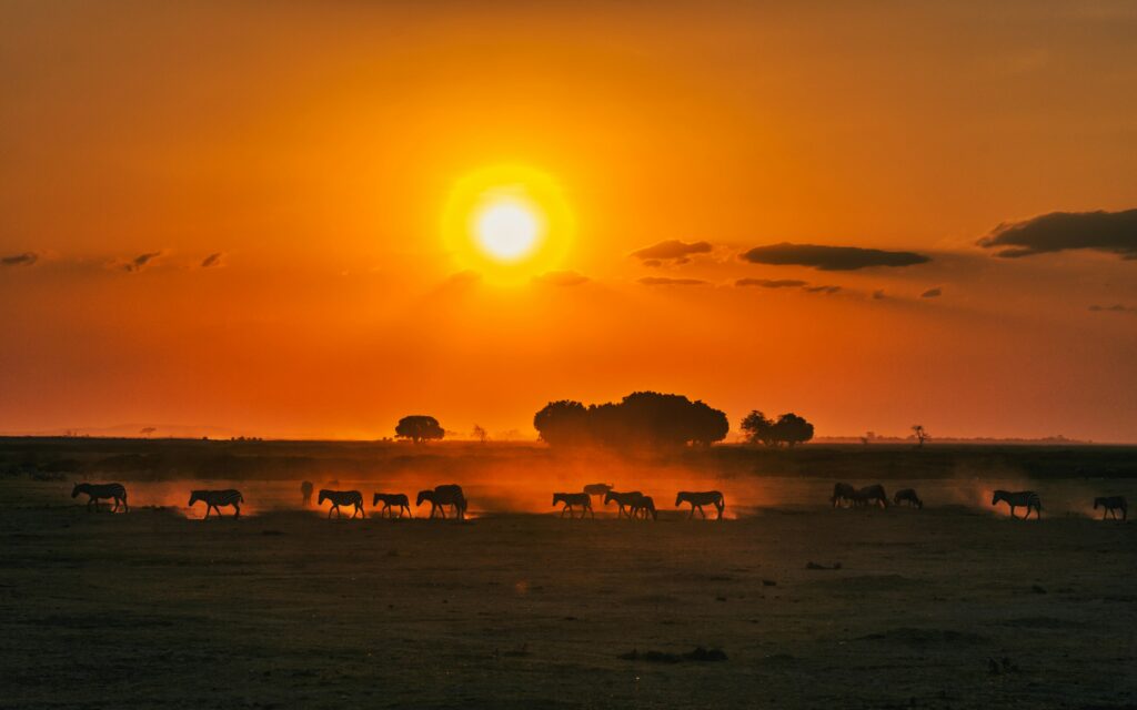 Discover Kenya: The Ultimate Guide to 8 Unforgettable Tour Destinations in 2025