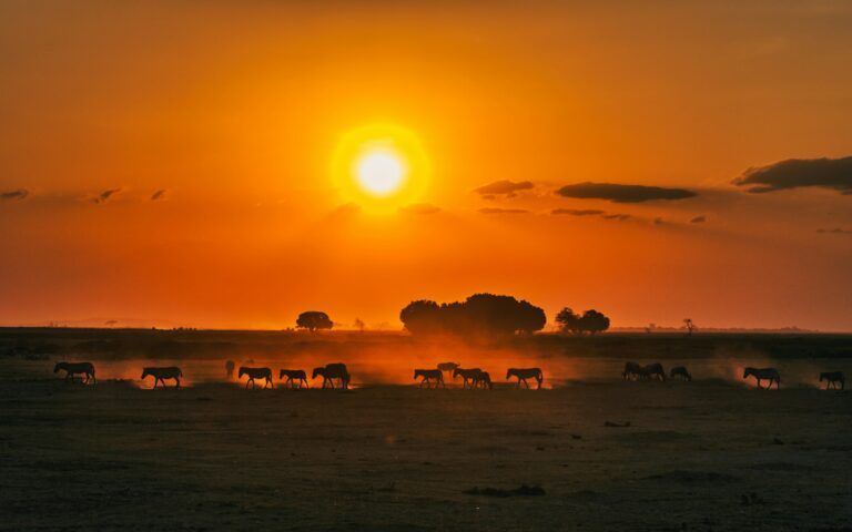 Discover Kenya: The Ultimate Guide to 8 Unforgettable Tour Destinations in 2025