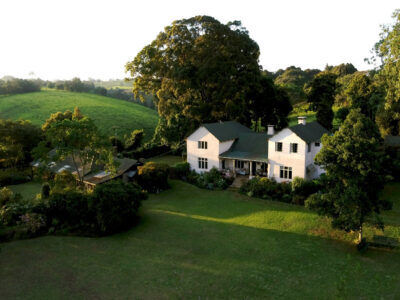 DCIM100MEDIADJI_0064.JPG Kiambethu tea farm