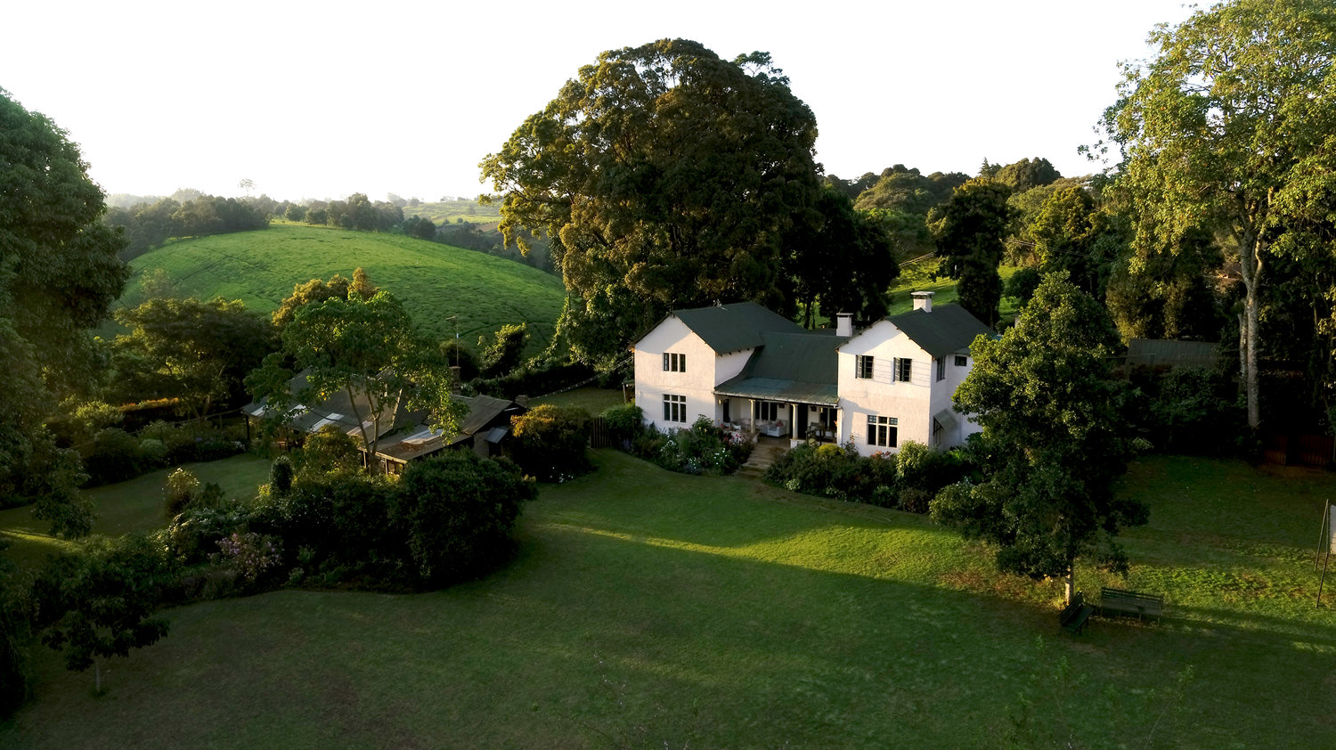 Beyond Safari: Exploring Kiambethu Tea Farm