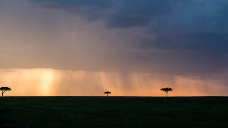 Why Kenya Remains Africa’s Undisputed Safari Capital in 2026