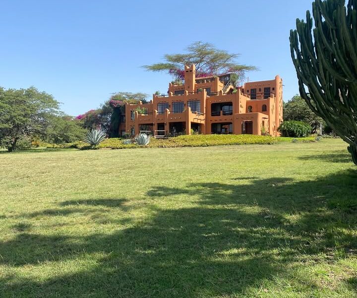 the african heritage house