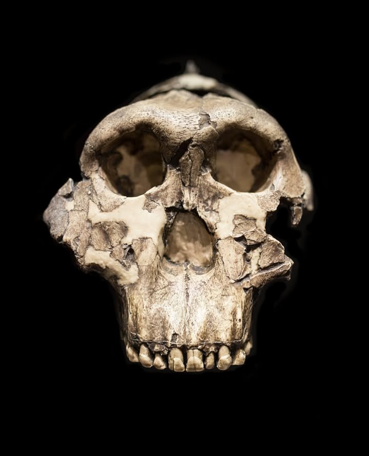 The Cradle of Mankind: Olduvai Gorge
