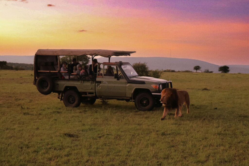 Kenya Safari Wildlife Quiz: Test Your Bush Smarts!